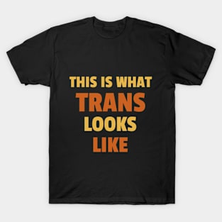 This is what Trans Looks Like, Transgender Shirt T-Shirt